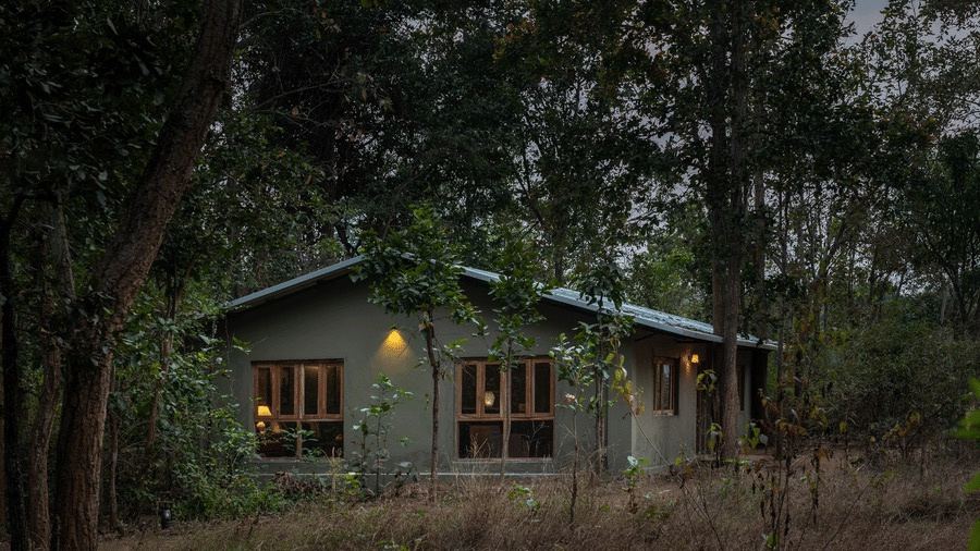 A cottage at Saccharum Safari Lodge among the trees