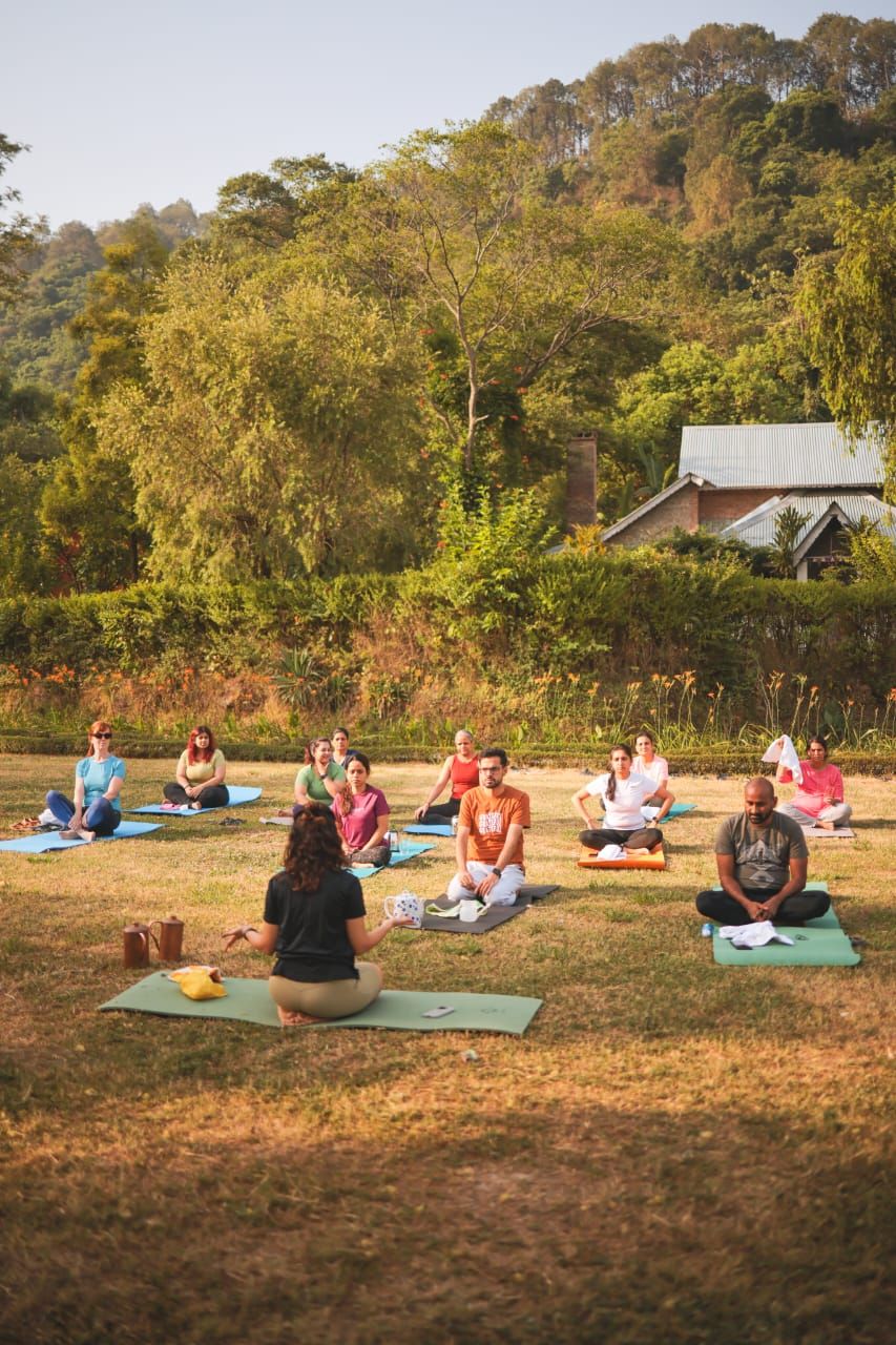 A group practising yoga on the lawn among the trees