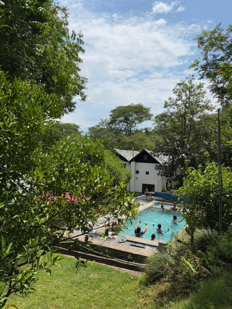 The heated pool seen through the garden